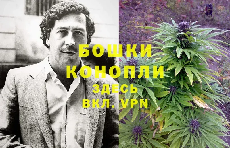 Бошки марихуана OG Kush  нарко площадка формула  Анива 